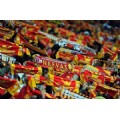 Alayinarest81