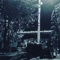 Cikolatalımuz31