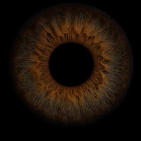 vastnd_