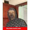 Coster