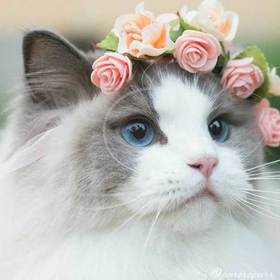 Beatiful_Girl