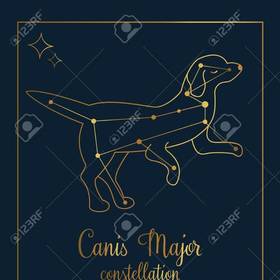 majör-canis