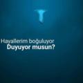 MasmaviiHayaller