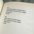 ZeyZey3