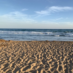 Bedir13