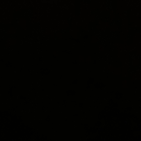 terapistt61