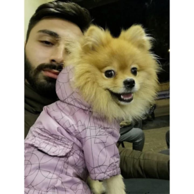 serdar6r
