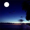 Moonshine1