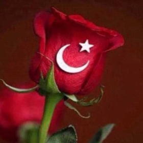 _Tiryaki_