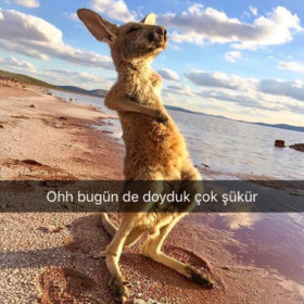 bluerap