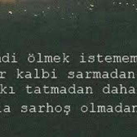 1905vuslat