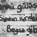 lalegüney
