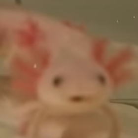 Rudyqx