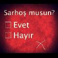sarışınkovboy46