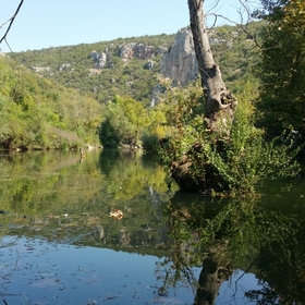 kalbindesakli91