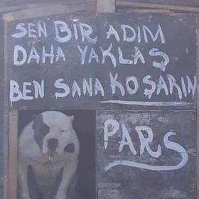 Pufuduk98