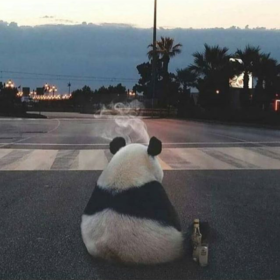 selambenpandaa