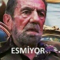 dedemintakmadişi
