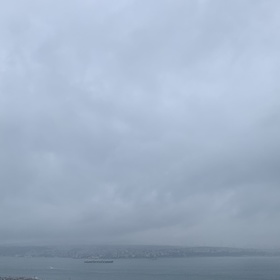 Sarı_61