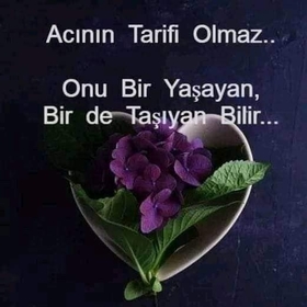 selcuk467