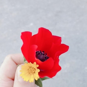 ceylanim90