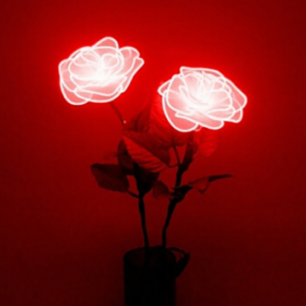 sookie_stackhouse
