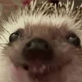 zoom4me