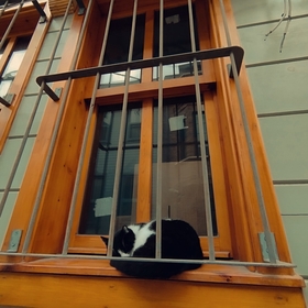 brokolifm