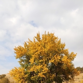 Sero12345
