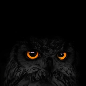 Wolfwayt