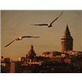 rabiaaktas_1990
