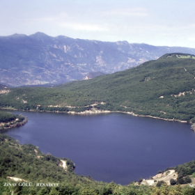 Utangacınız