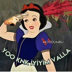kırgınprensess