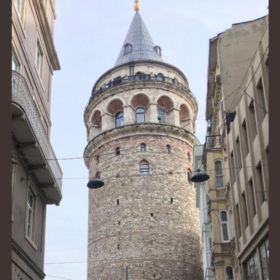 Zey88