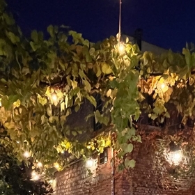 beyzacuruk