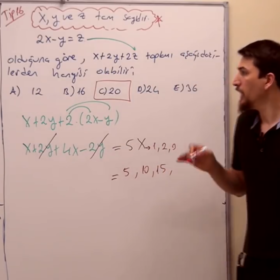 sarıkelebek11