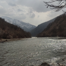 payiz_1373