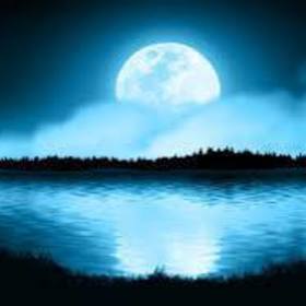 Moonlight019