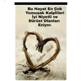 Gecemavisimavi