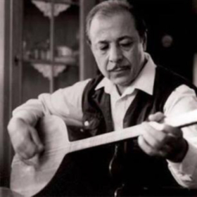 koşankaplumbağa_-_