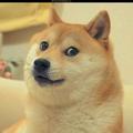 xxXDogeLoverXxx