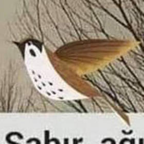 Hakanbuse