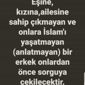 Petek73