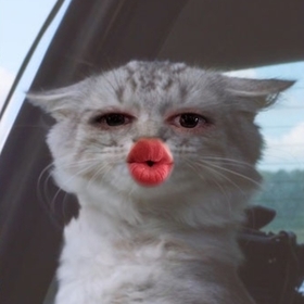 ayseesoruyorr