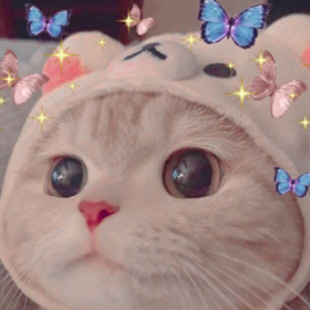 moooonlightt