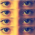 emily-ray