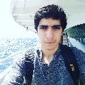 ediz3331
