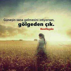 kral3419