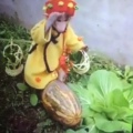 burjutea