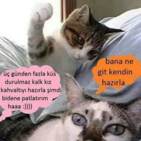 Mutsuz6134